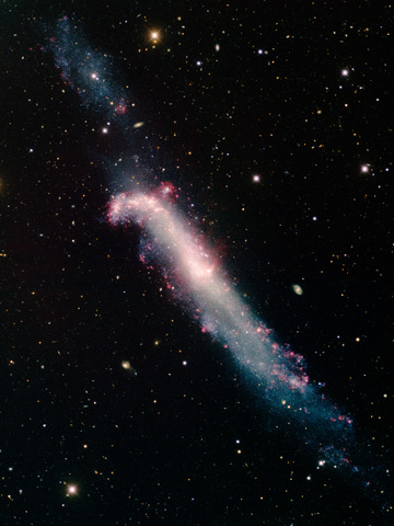 NGC 4656 - Hockey Stick Galaxy 