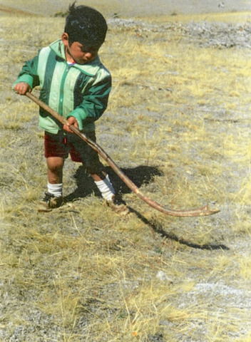Mapuche Indian Boy with a Chueca / Palin Stick - 1985