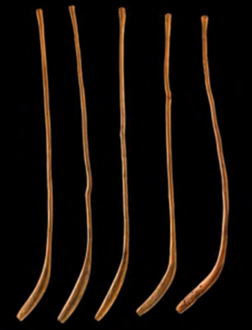 Shinny Sticks made of Oak or Tan Oak, and used by the Northern Pomo People