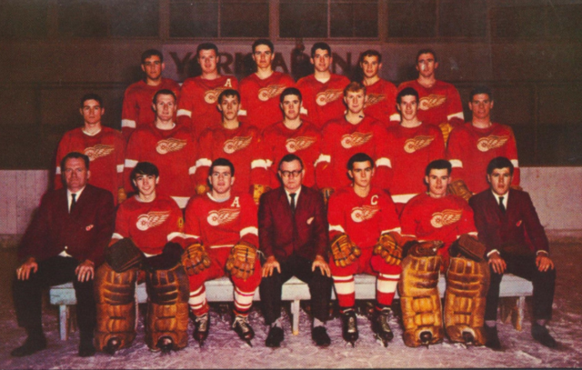 Hamilton Red Wings Team Photo 1967 Ontario Hockey Association