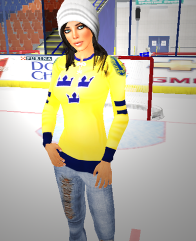 Ice Hockey Fans by Alezohol 3