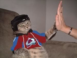 Cool Hockey Cat giving a High Five for the Colorado Avalanche