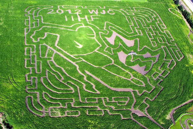 World Junior Championships Corn Maze