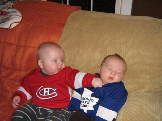 Montreal Canadiens Baby Punches a Toronto Maple Leafs Baby 
