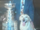 John McMullen 2000 Stanley Cup Champion with his dog Bubba