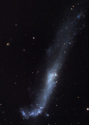 Hockey Stick Galaxy - NGC 4656