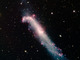 NGC 4656 - Hockey Stick Galaxy 