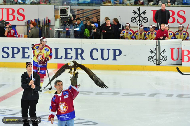 Geneve Servette Hockey Club Mascot at Spengler Cup Final 2013