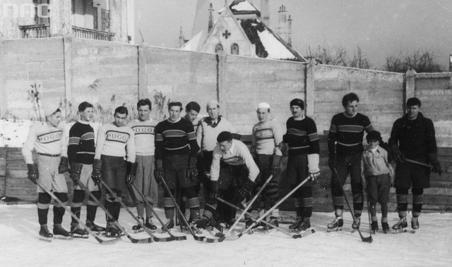 Lwowski Klub Sportowy Pogoń Hokej Drużyna 1933