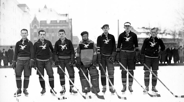 Polskie Towarzystwo Gimnastyczne „Sokół” Drużyna Hokej 1931