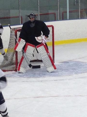 Ice Hockey Goalie Pads That Confuse The Shooter - Net Pattern