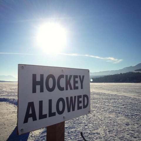 Hockey Allowed - We have got to START MAKING THESE SIGNS ♥ ♡