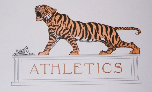 Princeton Tigers Logo / Princeton University Hockey 1911