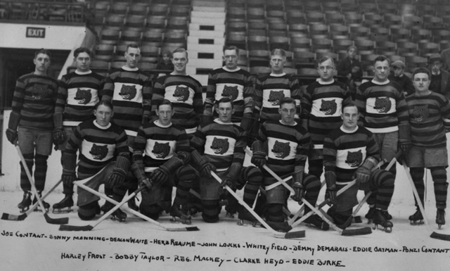 Boston Tigers Canadian-American Hockey League 1929