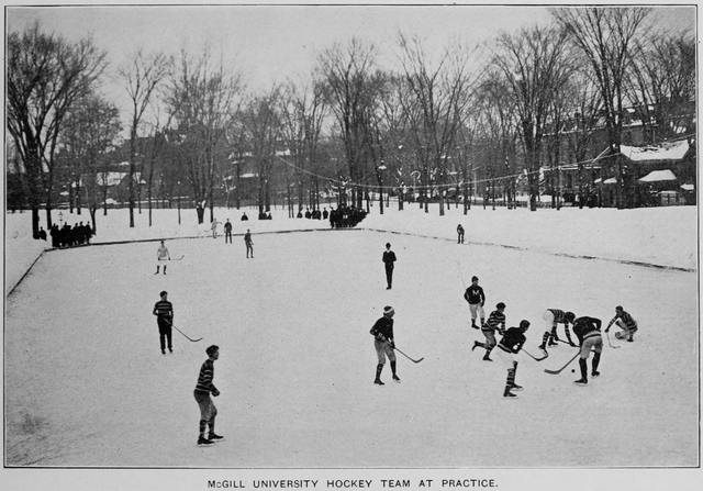 McGill University hockey match