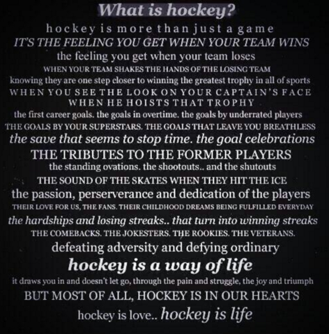 What Is Hockey ?...................Hockey Is Life !