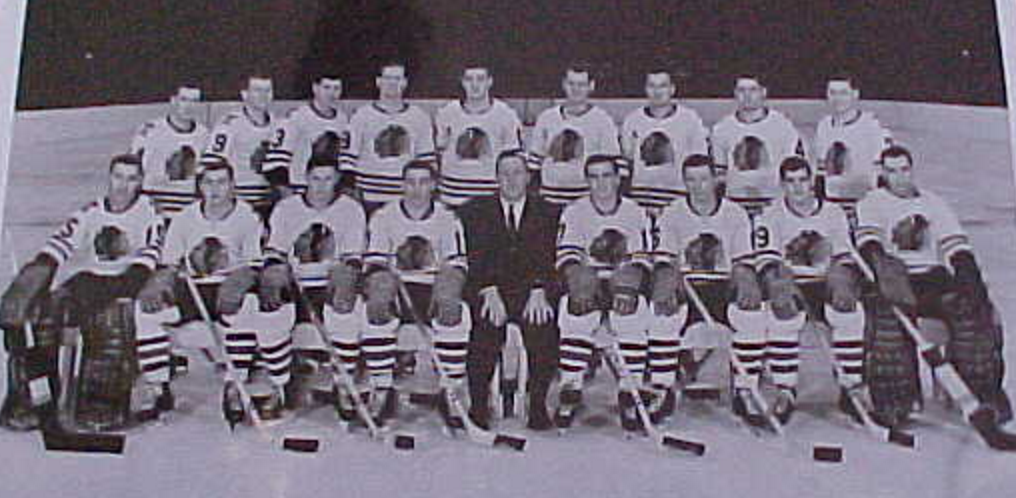 St. Louis Braves - The Old Central Hockey League - CHL