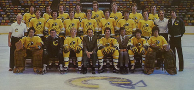 1978 Cincinnati Stingers Team Photo