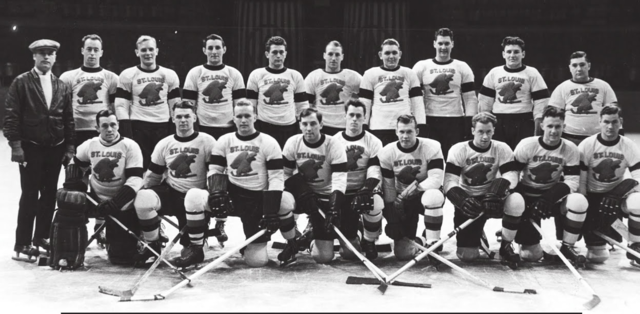 St. Louis Eagles First Team Photo 1934