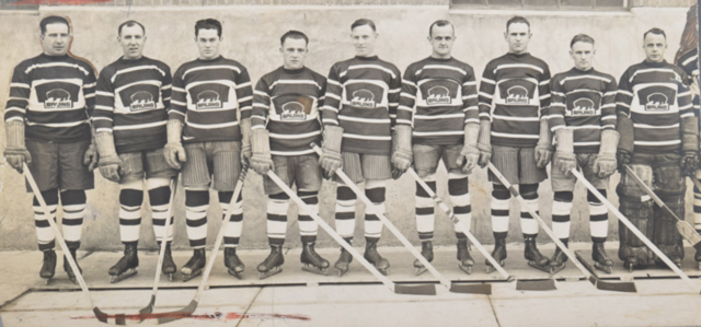 1925 Boston Bruins