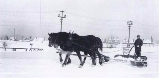 Antique Zamboni - Horses pull a Snow Scraper over a outdoor Hockey Rink