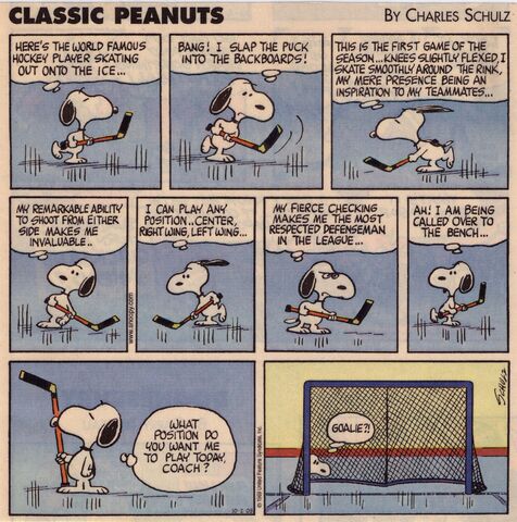 Snoopy Hockey Cartoon - The World Famous Hockey Player