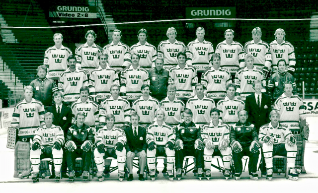 Svenska Ishockeyförbundet 1984 Sweden Men's National Ice Hockey Team 冰球