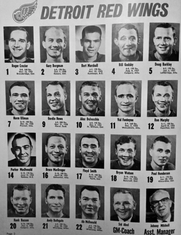 Detroit Red Wings 1965-66