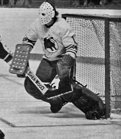 Jim Shaw 1974 Toronto Toros World Hockey Association / WHA
