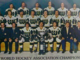 New England Whalers 1973 Avco World Trophy Champions / Avco Cup Champions