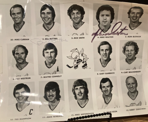 Minnesota Fighting Saints 1975