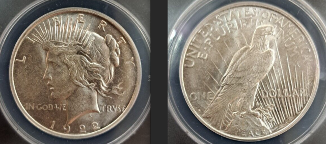 Denver Mint Peace Dollar Coin 1922 with Hockey Stick