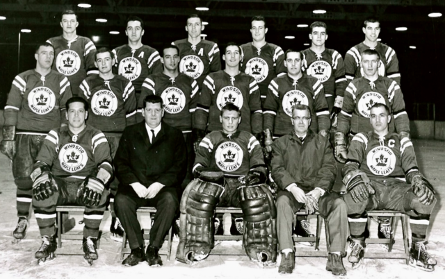 Windsor Maple Leafs 1963-64