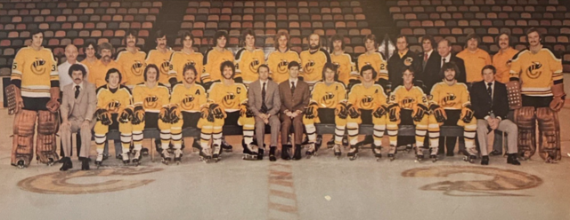 Cincinnati Stingers 1976