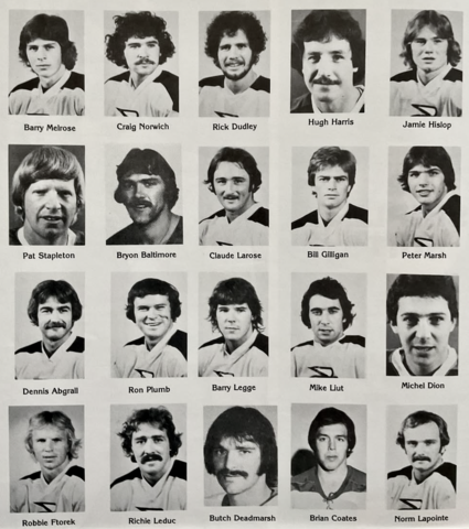 Cincinnati Stingers 1977-78