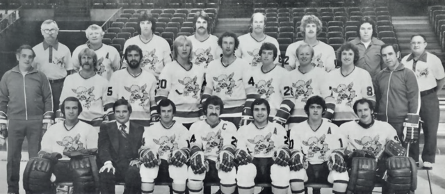 Minnesota Fighting Saints 1976 World Hockey Association