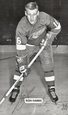 Ron Harris 1969 Detroit Red Wings