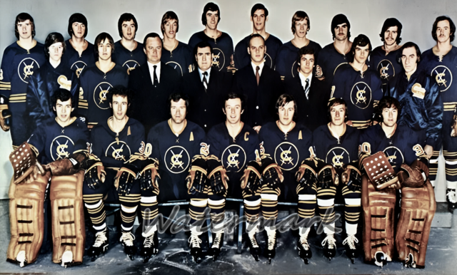 Cincinnati Swords Team Photo 1972-73