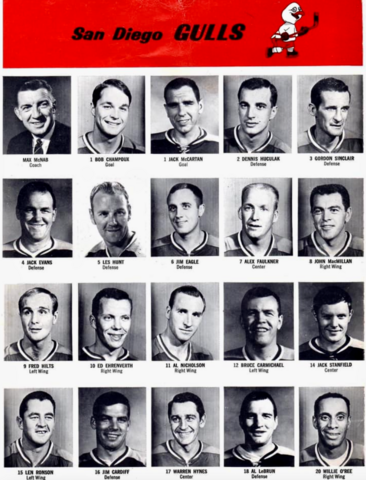 San Diego Gulls 1968 - 69