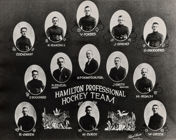 Hamilton Tigers 1923 - 24 Hamilton Professional Hockey Team