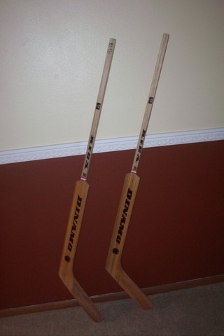 Hockey Stick Goalie 1