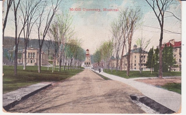 McGill Unuversity Postcard 1908
