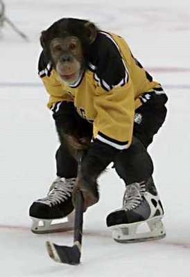 Hockey Monkey 1 