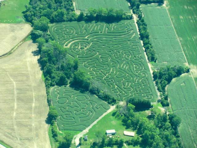 Detroit Red Wings Corn Maze