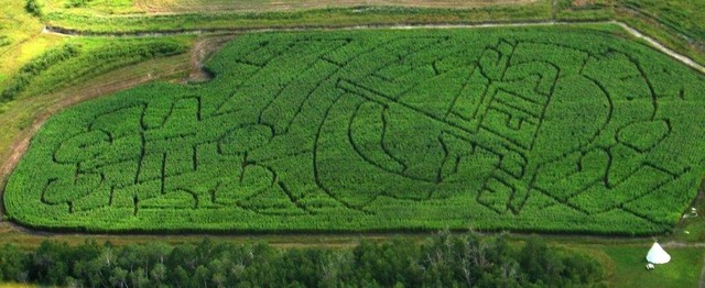 Winnipeg Jets Corn Maze