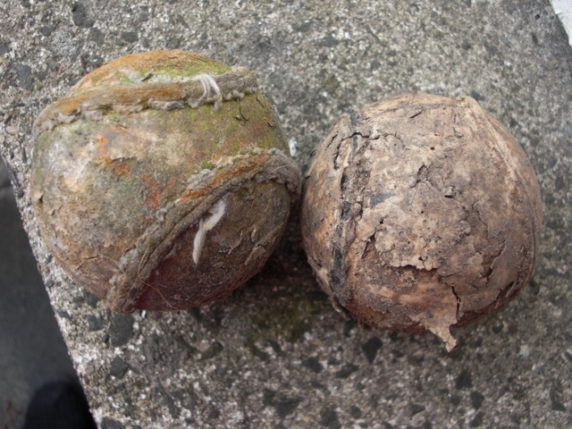 Antique / Ancient Sliotars - Hurling Balls - Cú Chulainn