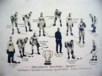 victoria senators and the Dudleigh Cup