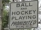 Ball and Hockey Playing Prohibited Sign - Toronto - 2011